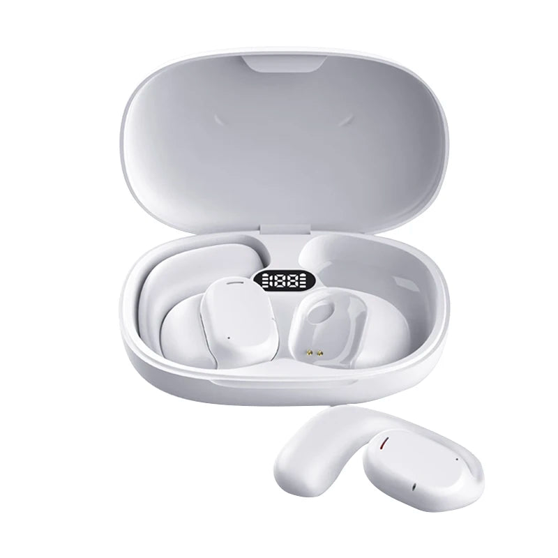 Language Translation Earbuds